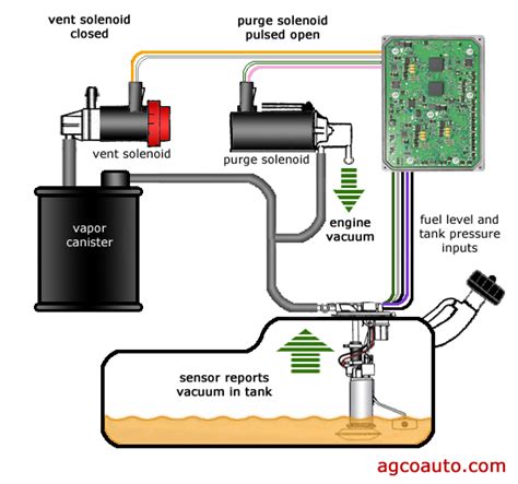 EVAP Leaks and How to Find Them